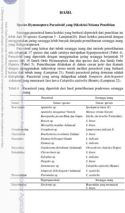 Tabel 4   Parasitoid yang diperoleh dari hasil pemeliharaan pradewasa serangga 