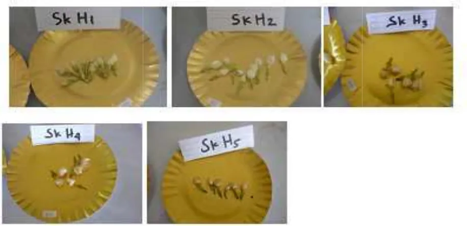 Gambar 8. Perubahan Warna na Teknik Top Icing dengan Toples Plastik Selaelama Penyimpanan 