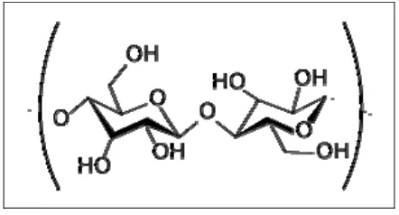 Gambar 2  Struktur Selulosa 
