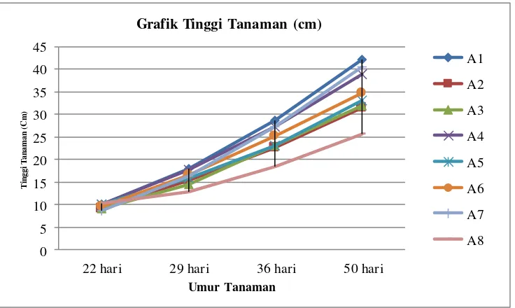 Grafik Tinggi Tanaman (cm) 