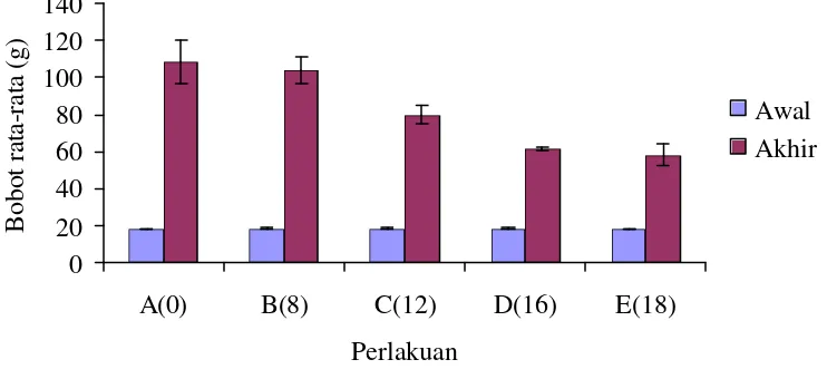Gambar 1. Bobot rata-rata ikan lele (Clarias sp) pada awal dan akhir percobaan 