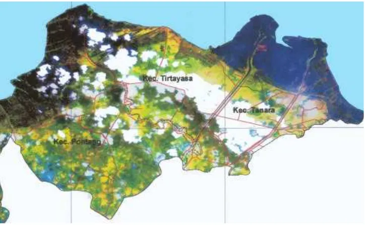 Gambar 11. Citra Satelit Wilayah Pesisir Zona Tirtayasa 