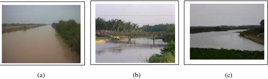 Gambar 14.  Sungai – Sungai yang Menjadi Sumber Air Tawar Bagi  Kegiatan Budidaya Tambak di Kawasan Zona Tirtayasa 