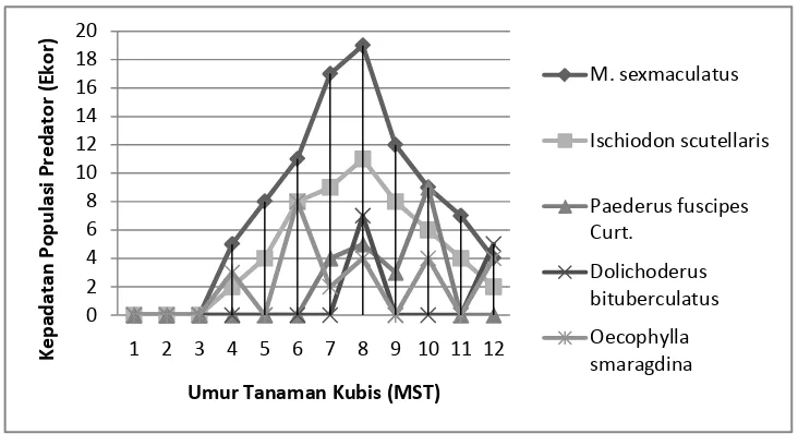 Tabel 2. Keragaman Spesies Hama-Hama Tanaman Kubis pada Pertanaman Kubis 