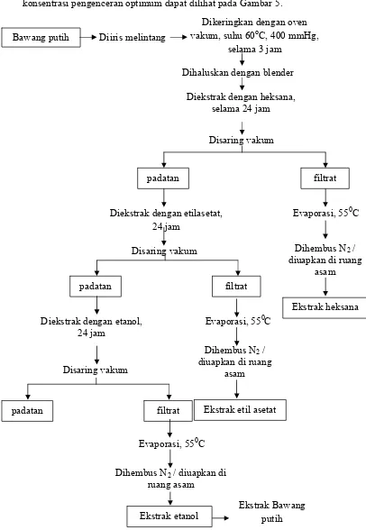 Gambar 3. Diagram alir ekstraksi bawang putih 