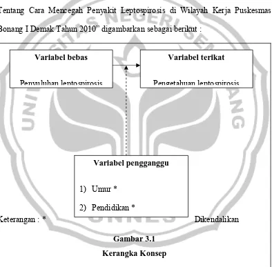 Gambar 3.1 Kerangka Konsep 