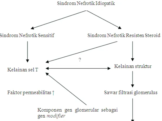 Gambar 2.Zat-zat terlarut yang dapat melewati sawar 