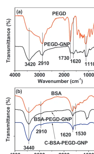 Fig. 3. FT-IR absorption spectra of powder samples of (a)  PEGD and PEGD-GNPs and(b) BSA, BSA-PEGD-GNPs, and C-BSA-PEGD-GNPs.