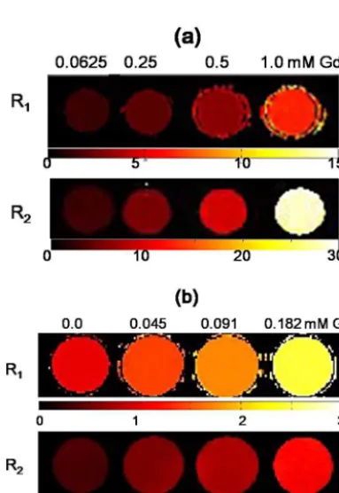 Fig. 6. R1 and R2 map images of aqueous sample solutions of (a)  BSA-PEGD-GNPsand (b) C-BSA-PEGD-GNPs as a function of the Gd concentration.
