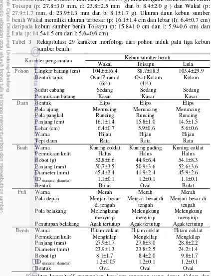 Tabel 3  Rekapitulasi 29 karakter morfologi dari pohon induk pala tiga kebun 