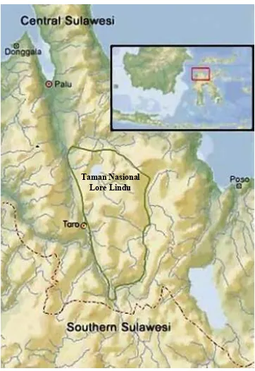 Gambar 1.1 Peta daerah penelitian Palu dan Toro di wilayah propinsi Sulawesi Tengah 