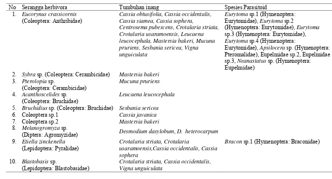 Tabel 3.1  Berbagai jenis serangga herbivora penggerek polong dan parasitoidnya yang ditemukan pada berbagai jenis legum 