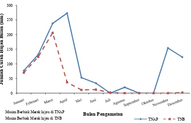 Gambar 8.  Grafik hari hujan tahun 2007 di wilayah Tegaldlimo (TNAP) dan  Bajul Mati (TNB) (Stasiun Meteorologi Banyuwangi, 2007) 