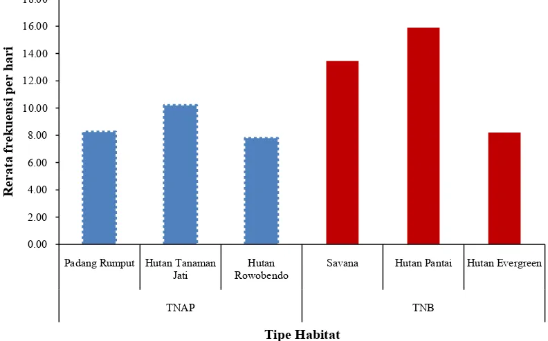 Gambar 15.  Grafik frekuensi harian perilaku display merak hijau di beberapa tipe  habitat di TNAP dan TNB 