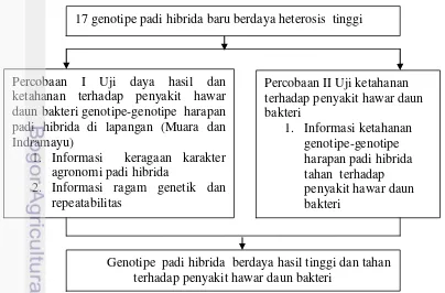 Gambar  1 Bagan Alir Penelitian 