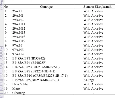 Tabel 1 Daftar genotipe-genotipe padi hibrida (A x R)  