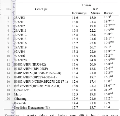 Tabel 8  Rata-rata jumlah anakan  produktif   (rumpun) dari 20 genotipe padi pada 