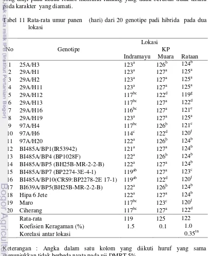 Tabel 11 Rata-rata umur panen   (hari) dari 20 genotipe padi hibrida  pada dua 