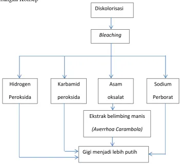 Gambar 12. Kerangka Konsep 