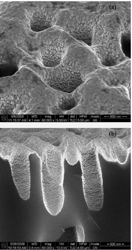 Fig. 1. Plan view (a) and cross section (b) SEM images of PVD-evaporated Au thinﬁlm on macroPS substrate.