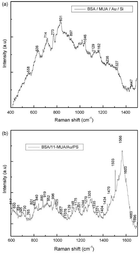 Fig. 2. X-ray spectra of Au thin ﬁlm deposited on ﬂat Si substrate (a) and onmacroPS/Si substrate (b).