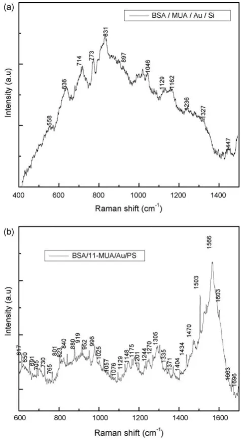 Fig. 2. X-ray spectra of Au thin ﬁlm deposited on ﬂat Si substrate (a) and onmacroPS/Si substrate (b).