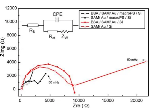 Fig. 7. Bode plot of the SAM/Au/PS/Si before and after the interaction with BSAprotein.