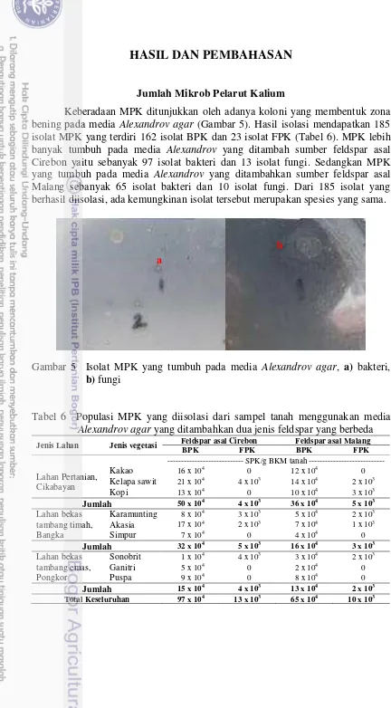 Gambar 5  Isolat MPK yang tumbuh pada media  Alexandrov agar, a) bakteri,  