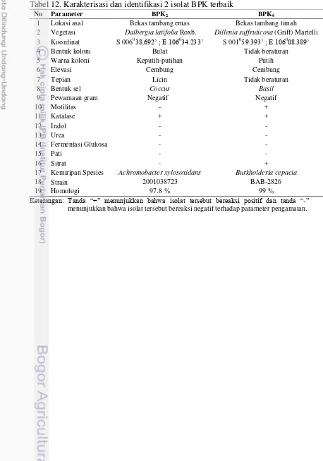Tabel 12. Karakterisasi dan identifikasi 2 isolat BPK terbaik 