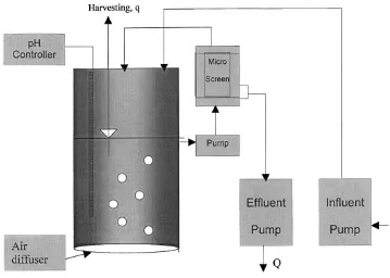 Gambar 5. Skema mikroscreen pada recycle reaktor (Van Leeuwen 2004) 