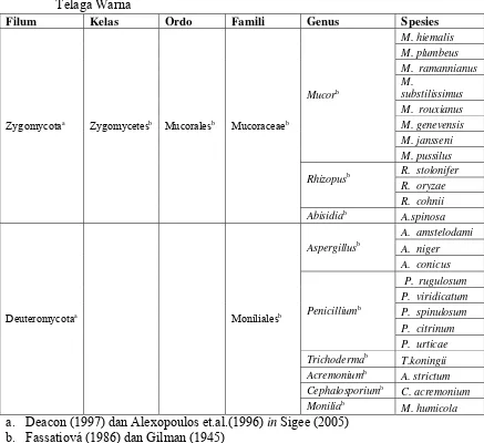 Tabel 5.  Pengelompokan jenis-jenis mikrofungi akuatik yang terdapat di Danau    Telaga Warna  