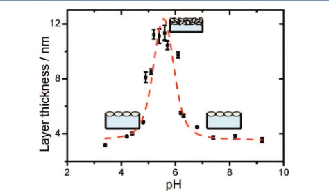 Figure 2. Thickness of adsorbed BSA layers at the airas a function of the electrolyte pH