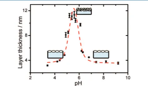 Figure 2. Thickness of adsorbed BSA layers at the airas a function of the electrolyte pH