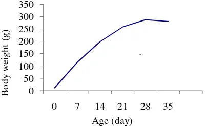 Figure 1.  Body Weight of Squab from 0 – 35 Days 
