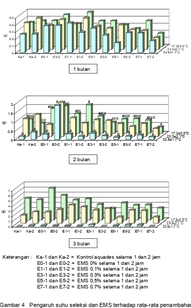 Gambar 4   Pengaruh suhu seleksi dan EMS terhadap rata-rata penambahan                     bobot segar eksplan umur 1, 2 dan 3 bulan