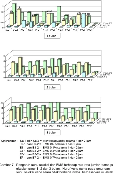Gambar 7   Pengaruh suhu seleksi dan EMS terhadap rata-rata jumlah tunas per                     eksplan umur 1, 2 dan 3 bulan