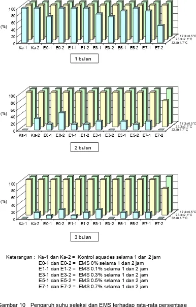 Gambar 10   Pengaruh suhu seleksi dan EMS terhadap rata-rata persentase  