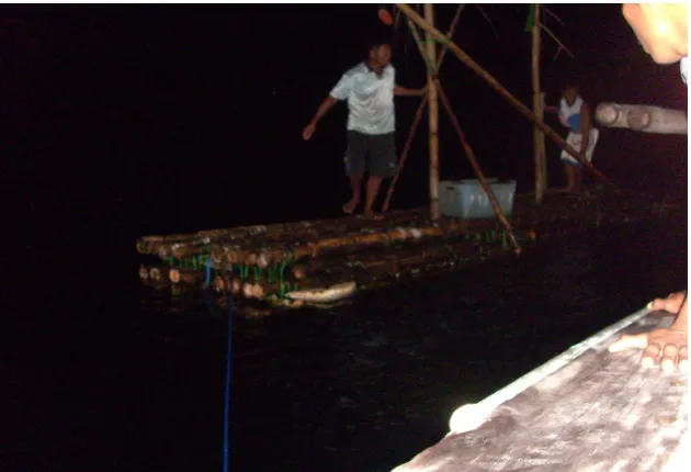 Gambar 11  Rumpon bambu yang digunakan oleh nelayan mini purse seine (soma pajeko) di Kota Tidore Kepulauan.