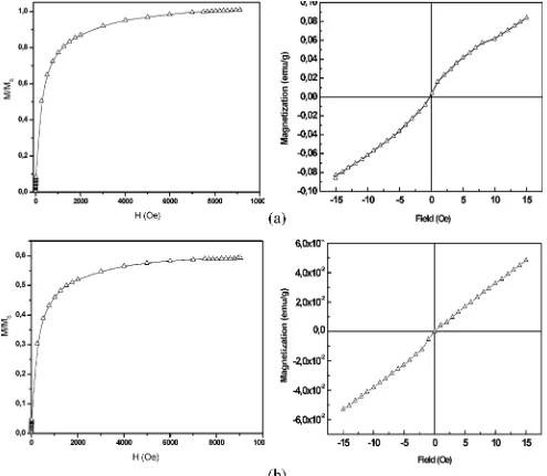 Figure 6. Relative magnetization M/MS (left) and magnetization versus applied magnetic field (right) for (a) uncoated and (b)BSA-APTMS-coated SPION.