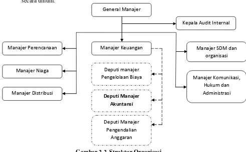 Gambar 2.2  Struktur Organisasi  