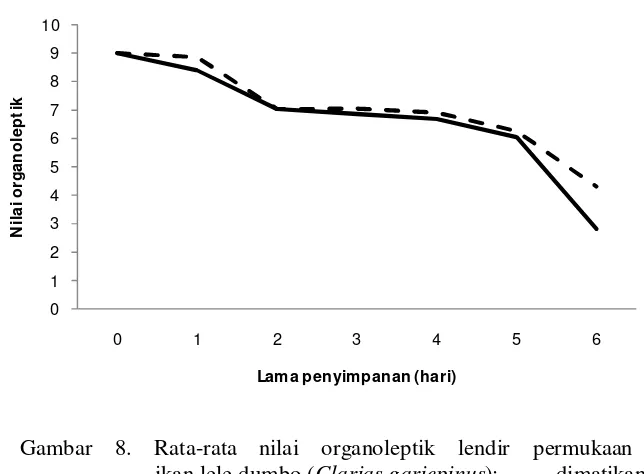 Gambar 8. Rata-rata nilai organoleptik lendir permukaan badan               ikan lele dumbo (Clarias gariepinus); ------ dimatikan segera dan          dimatikan setelah 12 jam tanpa media air 