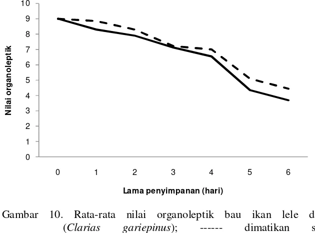 Gambar 9. Rata-rata nilai organoleptik daging ikan lele dumbo        (Clarias gariepinus); ------ dimatikan segera                       dan           dimatikan setelah 12 jam tanpa media air 
