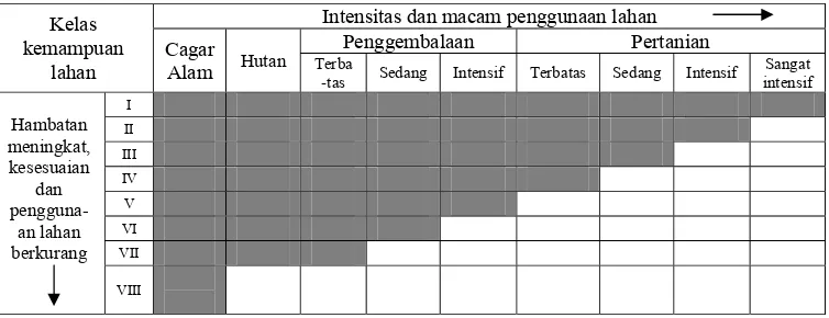 Gambar 5. Skema hubungan antara kelas kemampuan lahan dengan intensitas dan macam penggunaan (Hardjowigeno dan Widiatmaka 2007) 