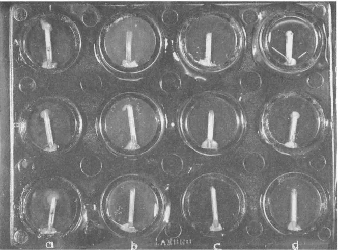Fig. 5. Effect of BA on PMNL migration. (a) DMSO control; (b) BA 100 ~g/ml; (c) BA 50 ~g/ml; (d) BA 25 tJg/ml)