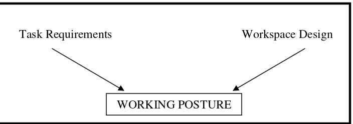 Figure 2.1: The Postural Triangle. (Bridger, R.S, 2003) 
