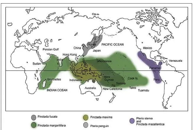 Gambar 3. Peta distribusi penyebaran tiram mutiara (Martin 2004) 