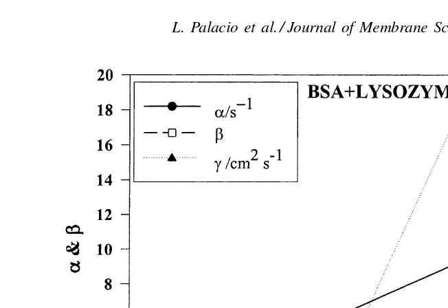 Fig. 8. Parameters of the fouling model, α, β and γ, for pure BSA and lysozyme and some mixtures