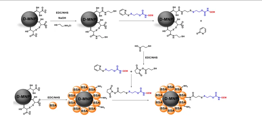 Fig. 1 General scheme of multifunctionalization of D‐MNP. 