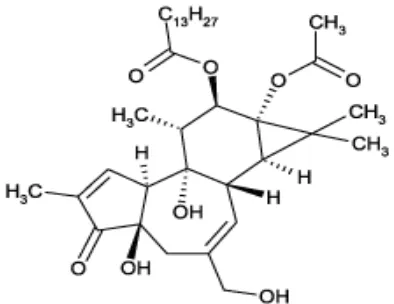 Gambar 4. Struktur Kimia Phorbolester  (www.proteinkinase.de/assets/images/PMA.gif) 