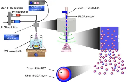Fig. 1.Schematic depiction of the mono-axial nozzle ultrasonic atomizer microencapsulation method.